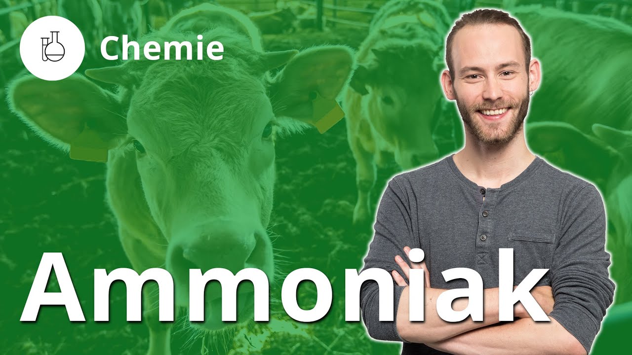 Ammoniak: die besondere Base – Chemie | Duden Learnattack