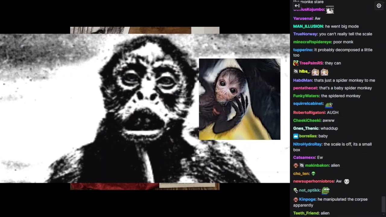 Vinny looks at Strange Cryptid Images [WITH CHAT]