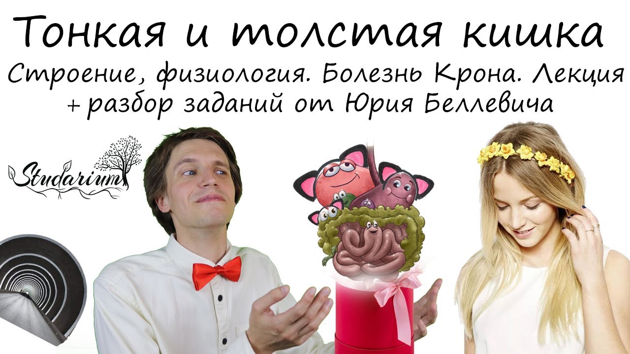 Тонкая и толстая кишка. Строение. Болезнь Крона. Лекция и разбор заданий от Юрия Беллевича