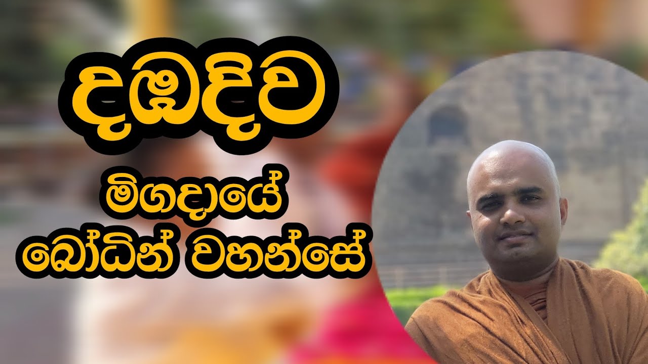 දඹදිව මිගදායේ බෝධින් වහන්සේ 