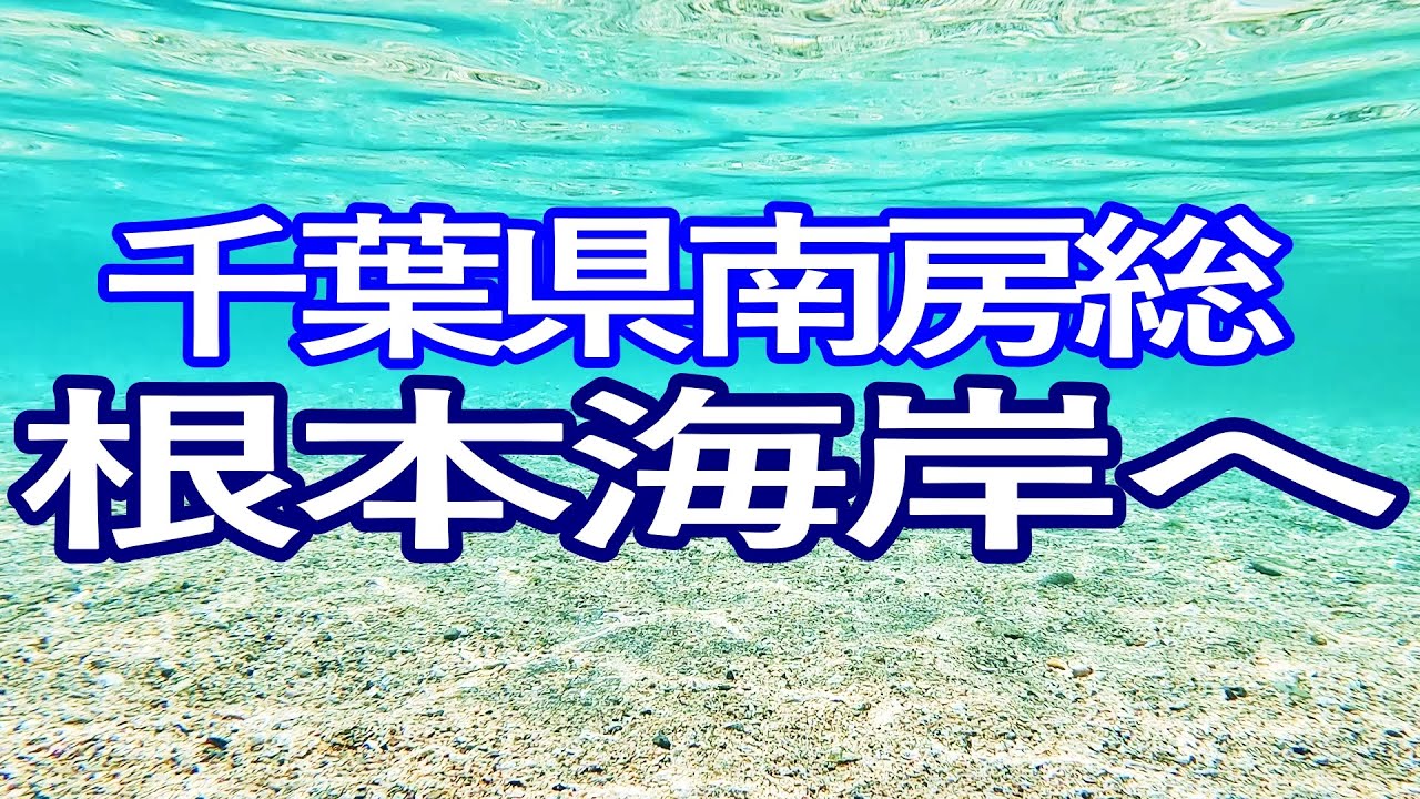 千葉ゆる旅　館山から南房総へ！千葉県南部の根本海水浴場でシュノーケリング満喫