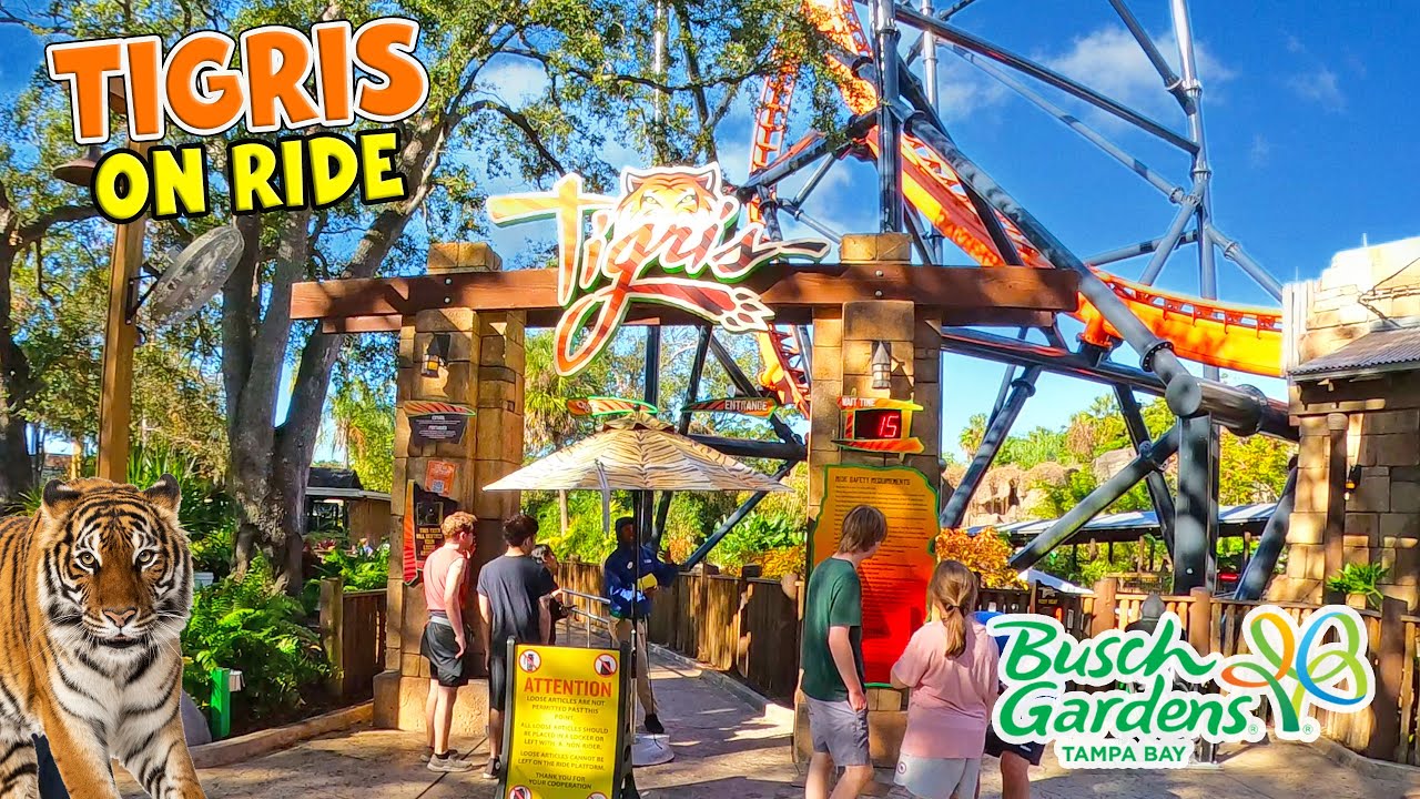 Tigris On-Ride POV at Busch Gardens Tampa Bay (Jan 2026) [4K]