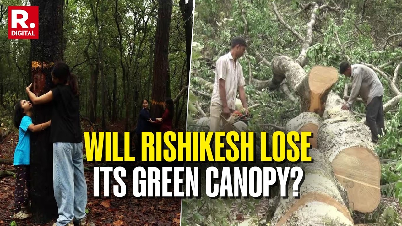 Rishikesh Comes Together To Save 4,000+ Ancient Sal Trees