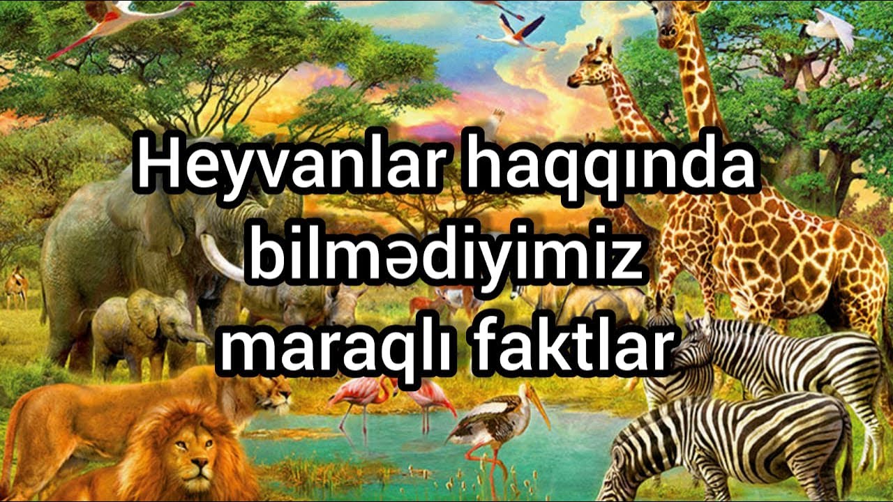 Heyvanlar aləmi haqqında bilmədiyimiz maraqlı faktlar