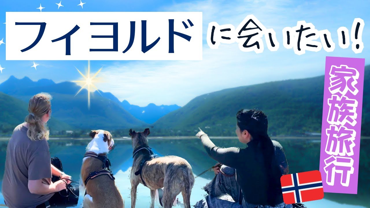 【ノルウェー旅✨】愛犬と弾丸🚗絶景ツアーに密着⛰️