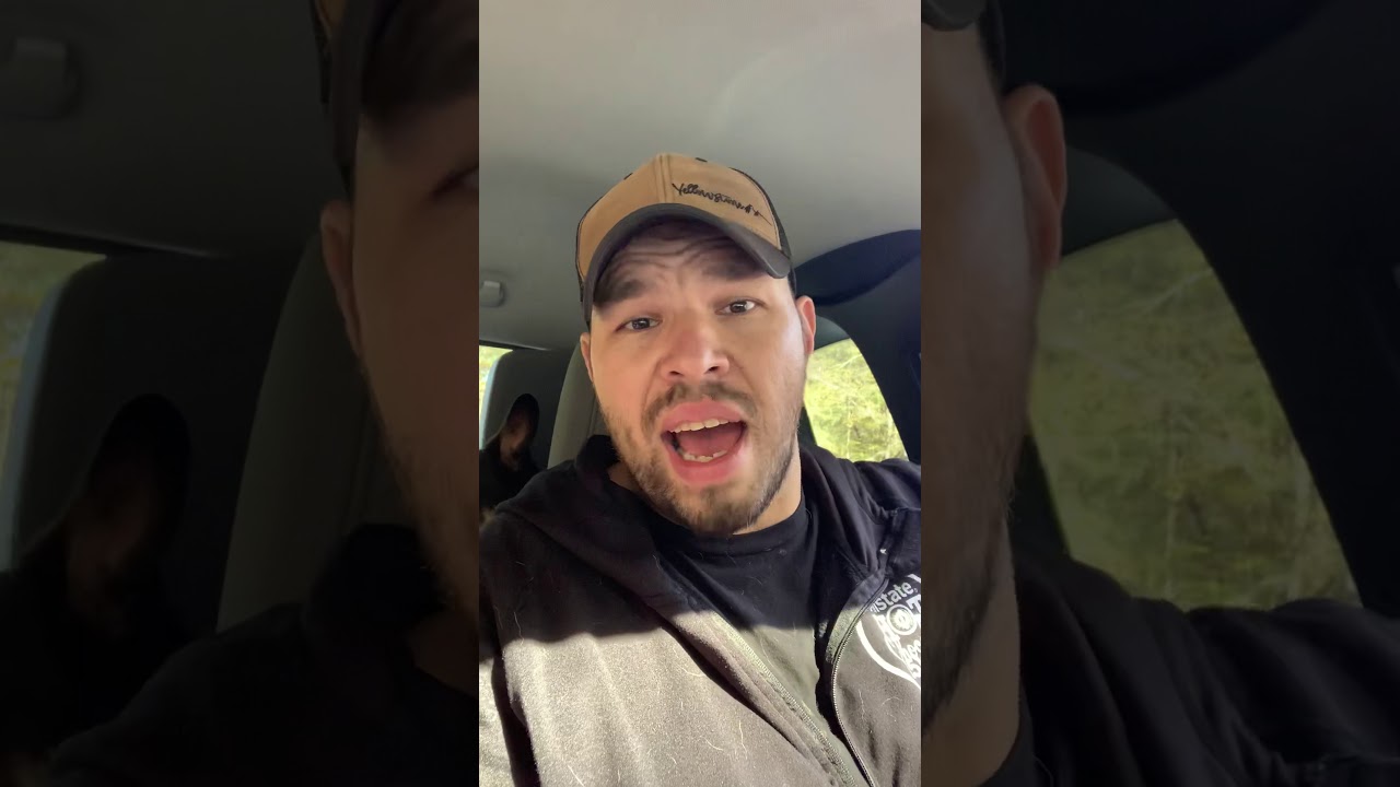 Lexapro 3 weeks