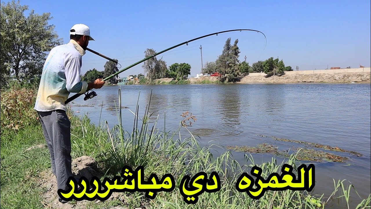 شاهد صيد سمك القراميط مباشر واللي يشدك شده