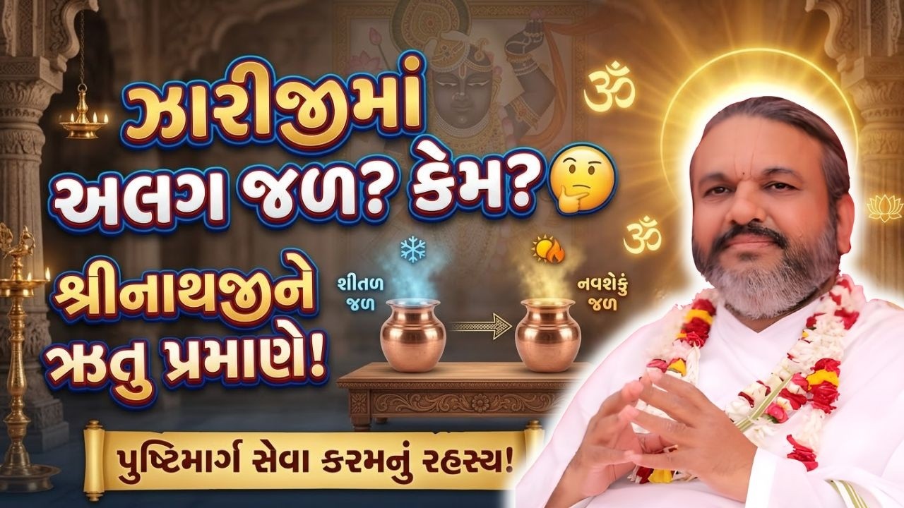 શું તમને ખબર છે ઝારીજી માં અલગ જળ શુકામ હોઈ છે #Pustymarg #pustimarg #pushtimarg