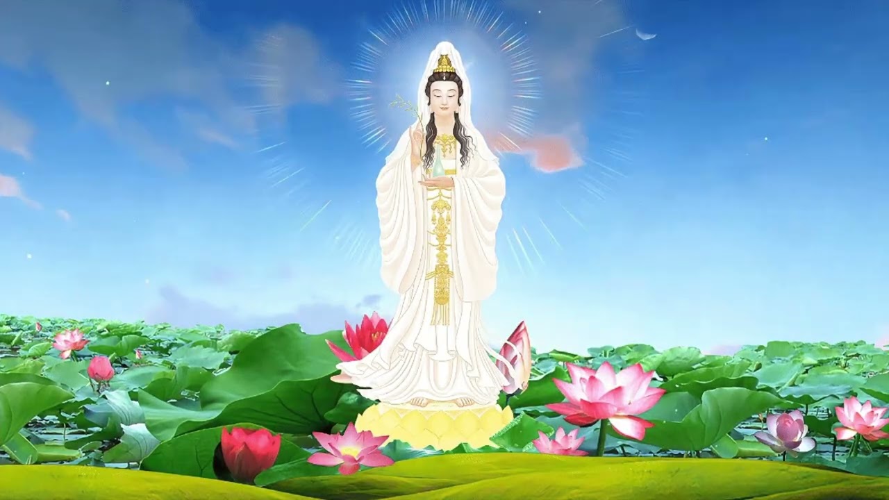 [PHẦN 28] TỔNG HỢP VIDEO CHIA SẺ PHÁP THIỀN ĐỐN NGỘ