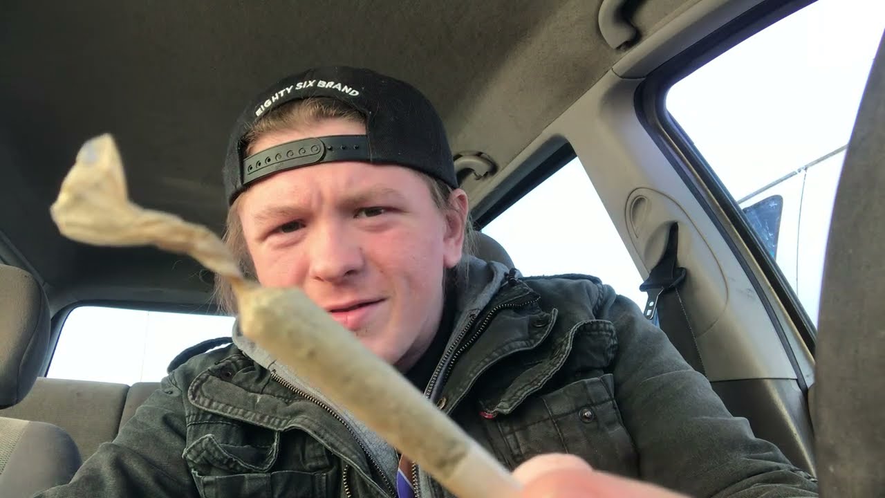 Sunmed: GMO LLR infused preroll sesh