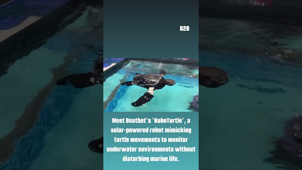 ​Meet RoboTurtle: The Future of Eco-Friendly Underwater Monitoring