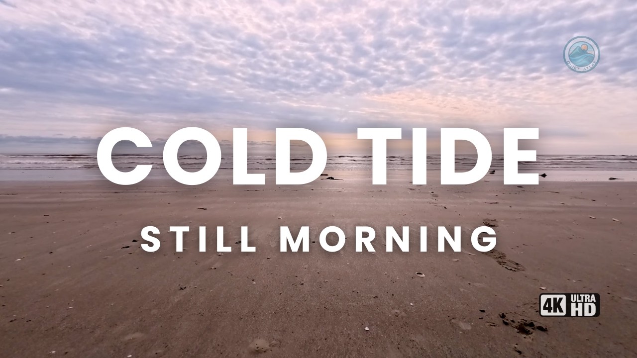 Quiet Ocean Sounds for Work & Coding | 4H Winter Beach in Texas