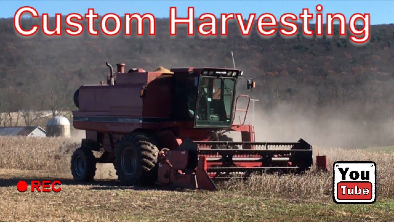 Case IH 1666 Custom Harvesting Beans