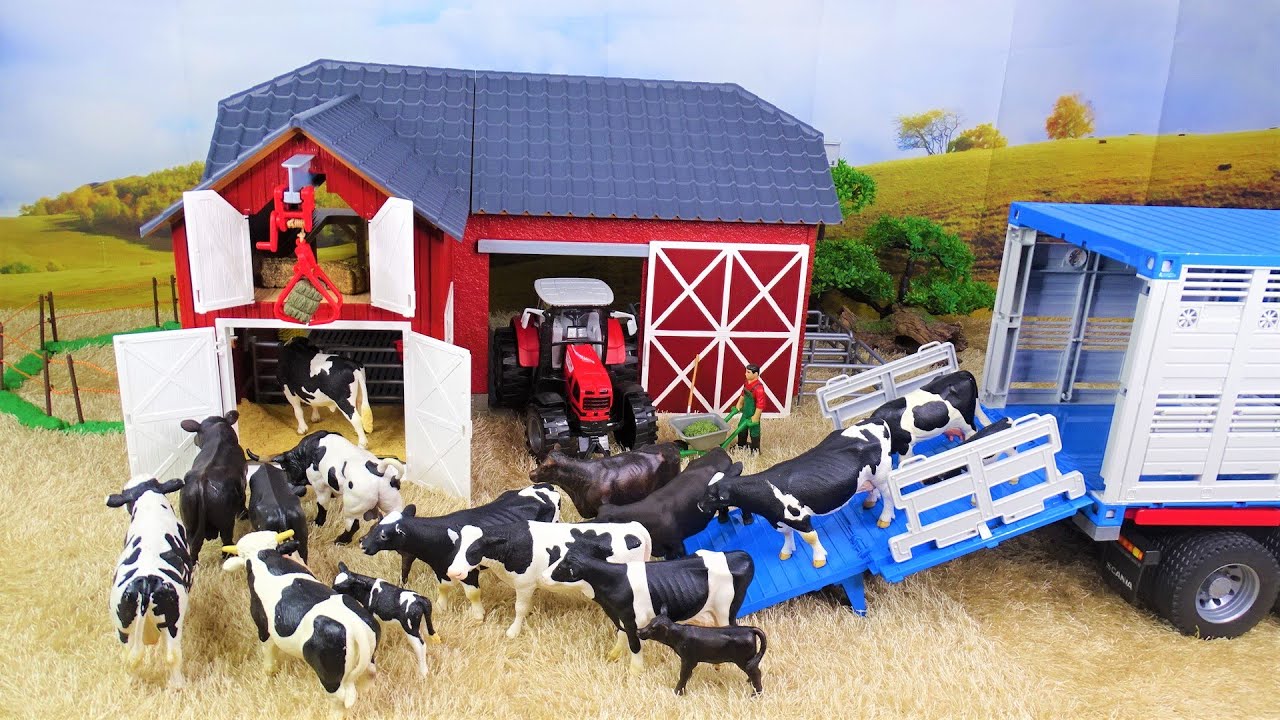 Moving COWS and BULLS in the farm/ TORO/TOURO