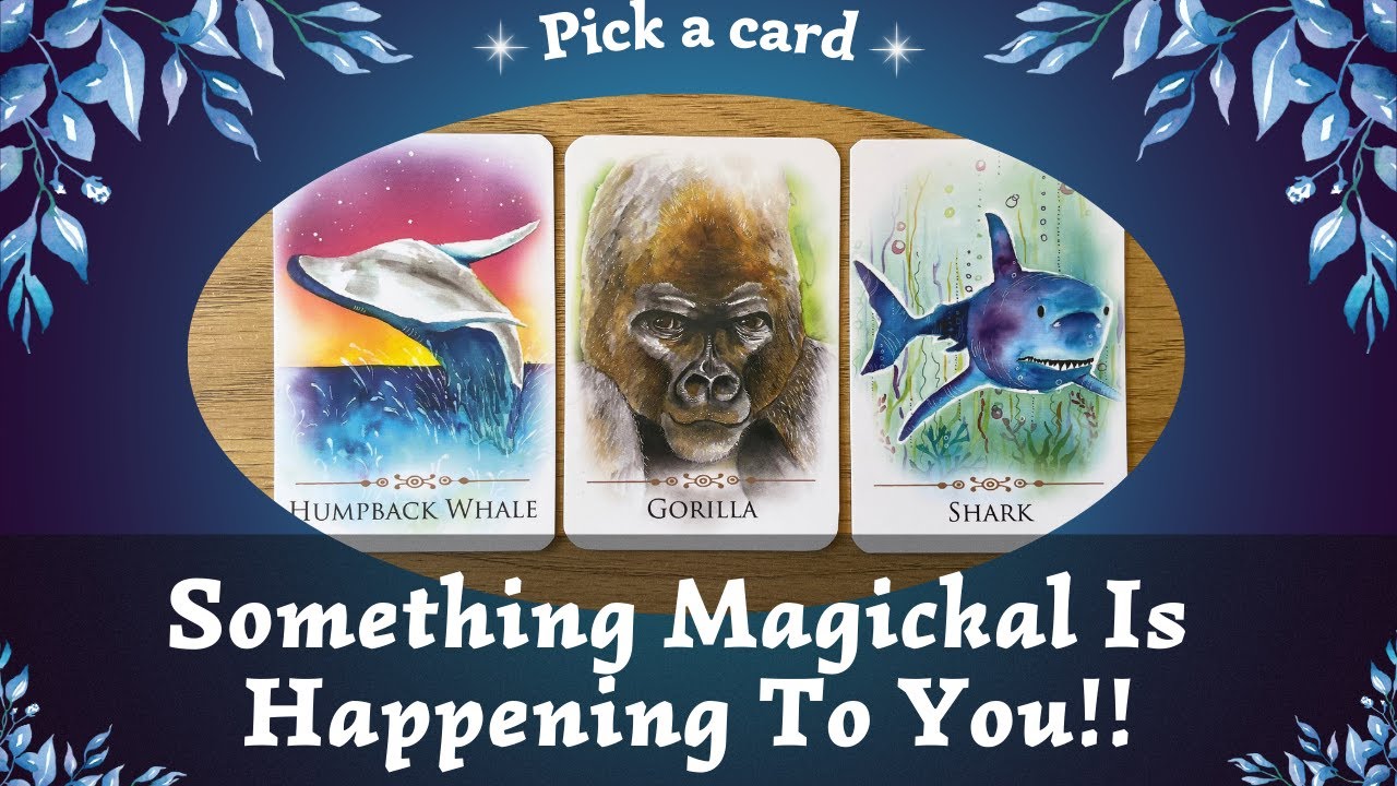 Something Magickal Is Happening To You! What Is It? ✨🪄🕯️✨⎜ Pick a card⎜Timeless Reading