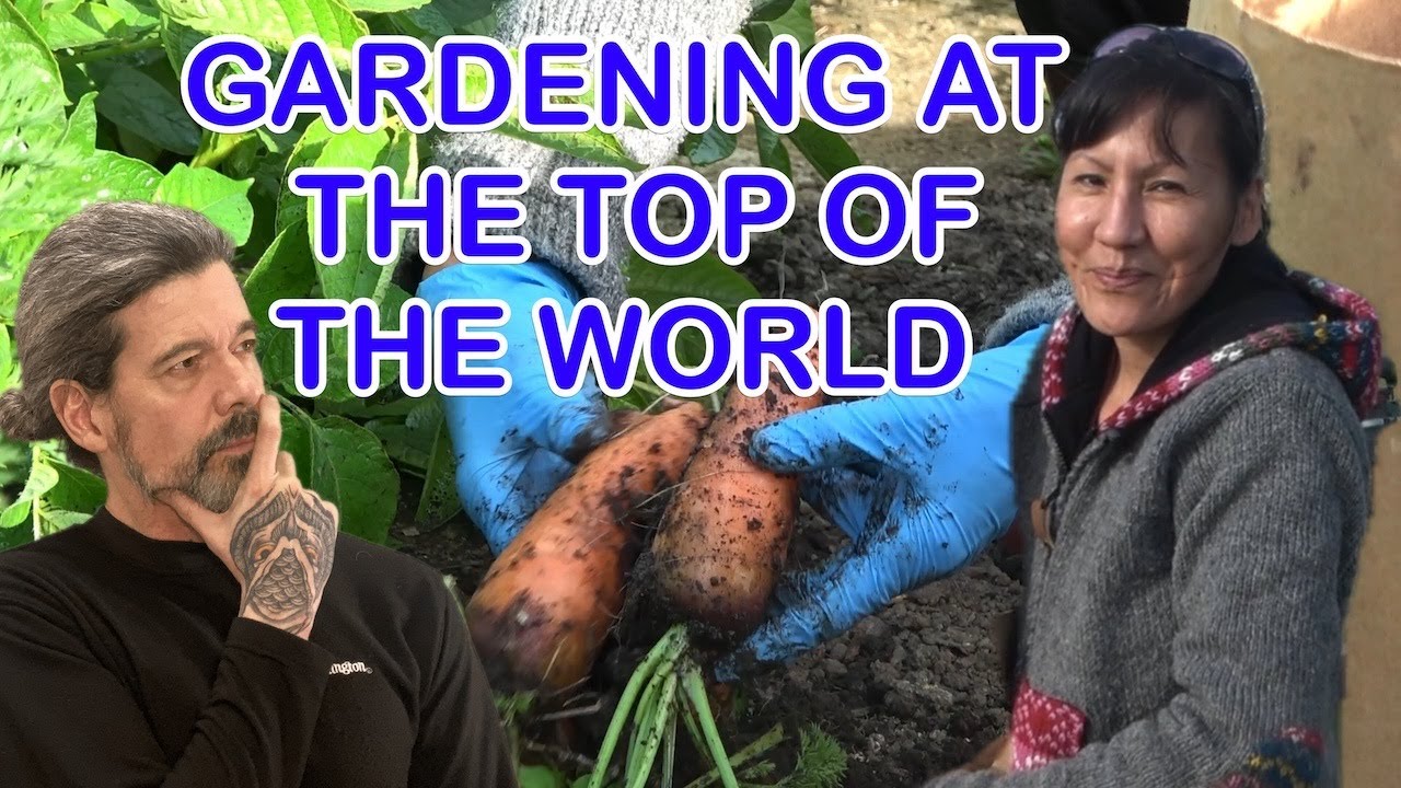 Gardening at the Arctic Circle subtitles
