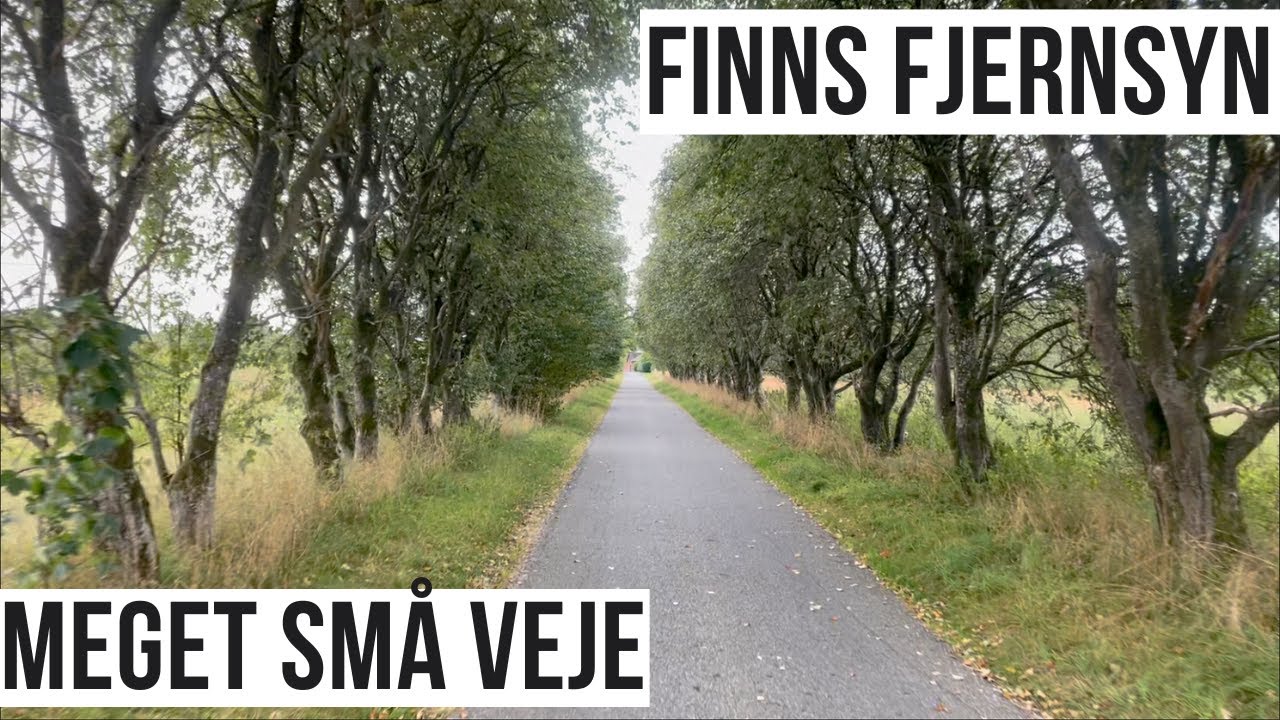 Meget små veje | SCANIA R500