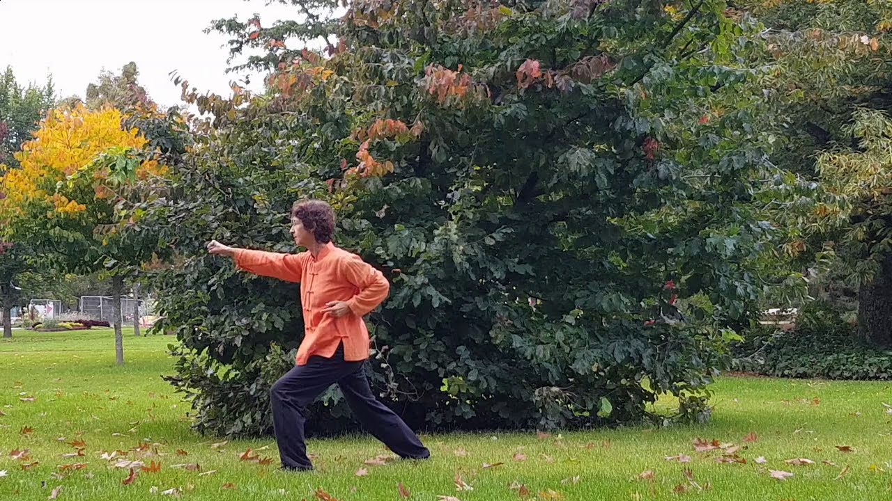 Tai Chi Chen / Laojia yilu - DOS - 1ère Partie /  Vitao Vosges.