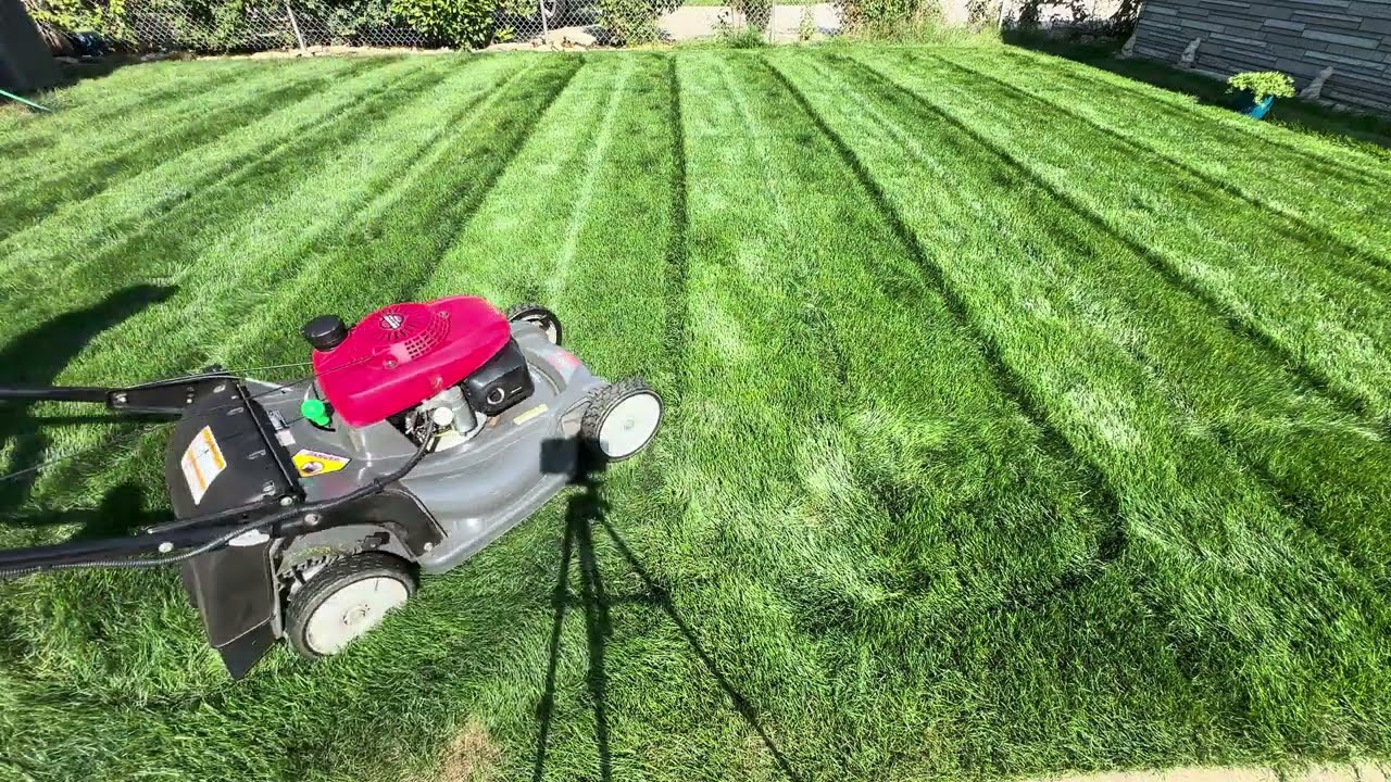 Enjoying Fall Mow