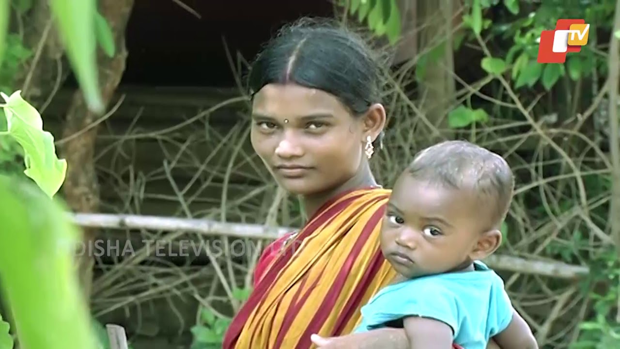 ଚାଲନ୍ତୁ ବୁଲିଯିବା କେନ୍ଦୁଝରର ଏକ ଆଦିବାସୀ ଗ୍ରାମକୁ | Tribal Life of Keonjhar - Odisha Tribal Life