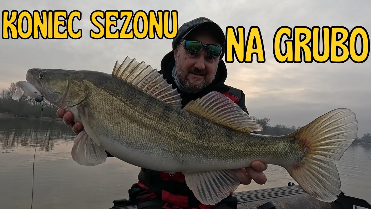 GRUDNIOWE SANDACZE z DZIKIEJ WISŁY / odc. 238