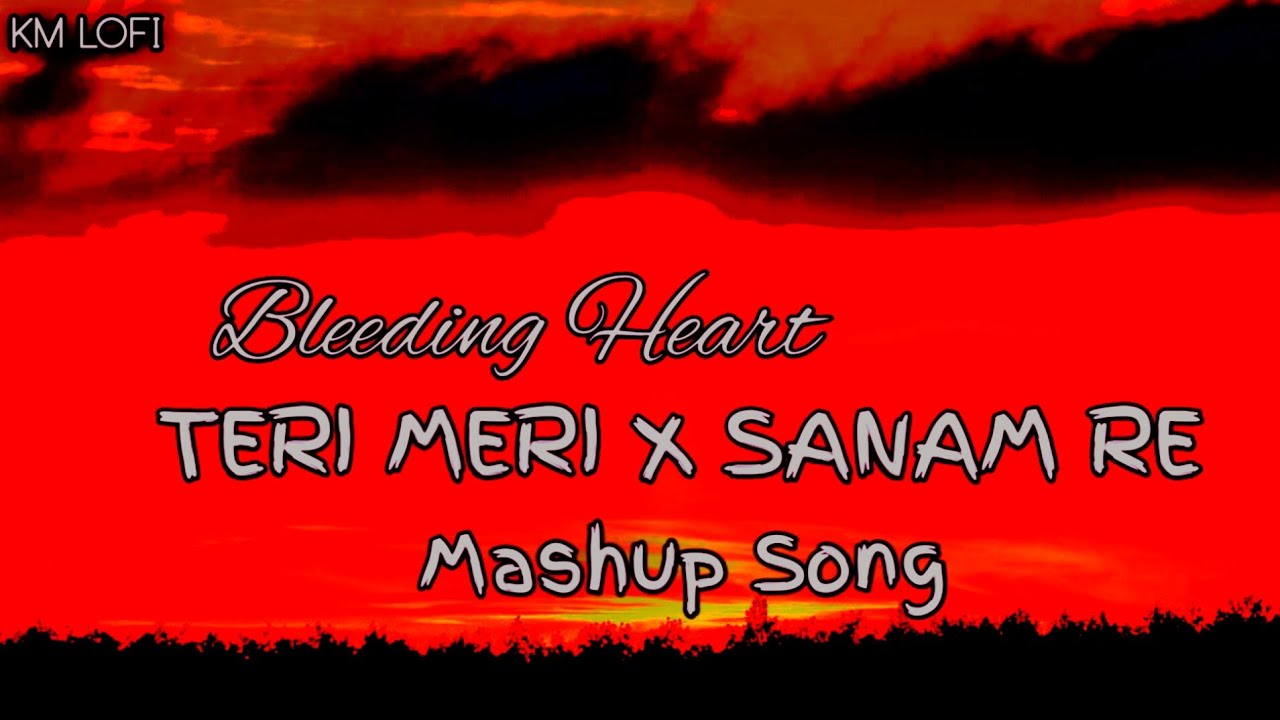 Bleeding Heart Mashup | Teri Meri x Sanam Re x Dua | Mashup 2026 | KM LOFI | (Slowed+Rewarb) 