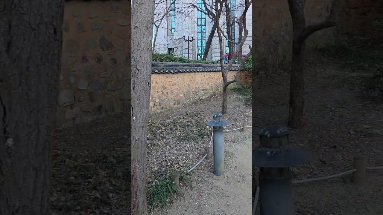 2026.02.09. 월요일.  청라언덕길...