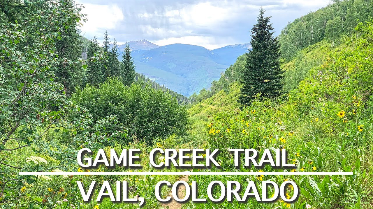 Mountain Biking Game Creek Trail | Vail, Colorado