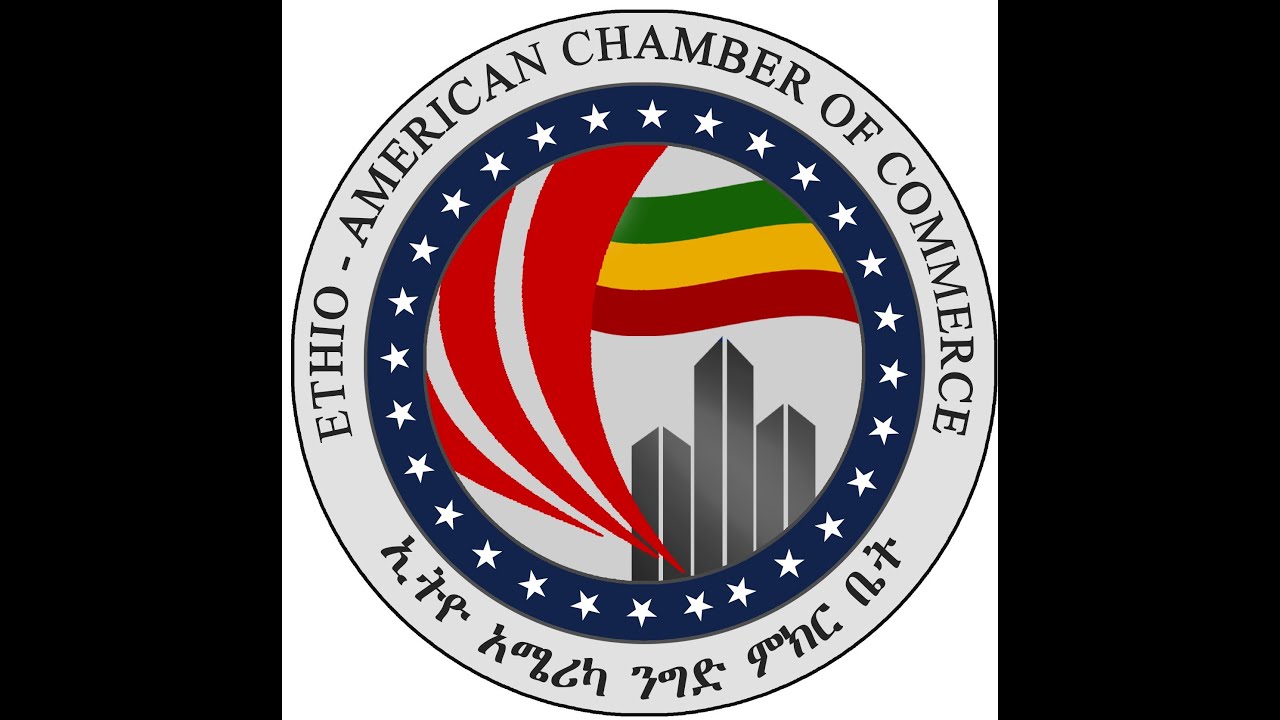 part 1 Ethio-American Chamber of Commerce Gala 2025 | MGM Grand &ndash; Full Highlights