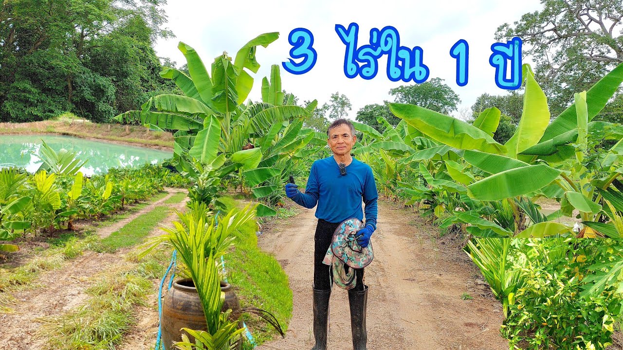 มีครบจบที่เดียว สวนผสมผสาน ปลูกพืชหลากหลาย ในพื้นที่ 3 ไร่ น่าอยู่สุดๆ