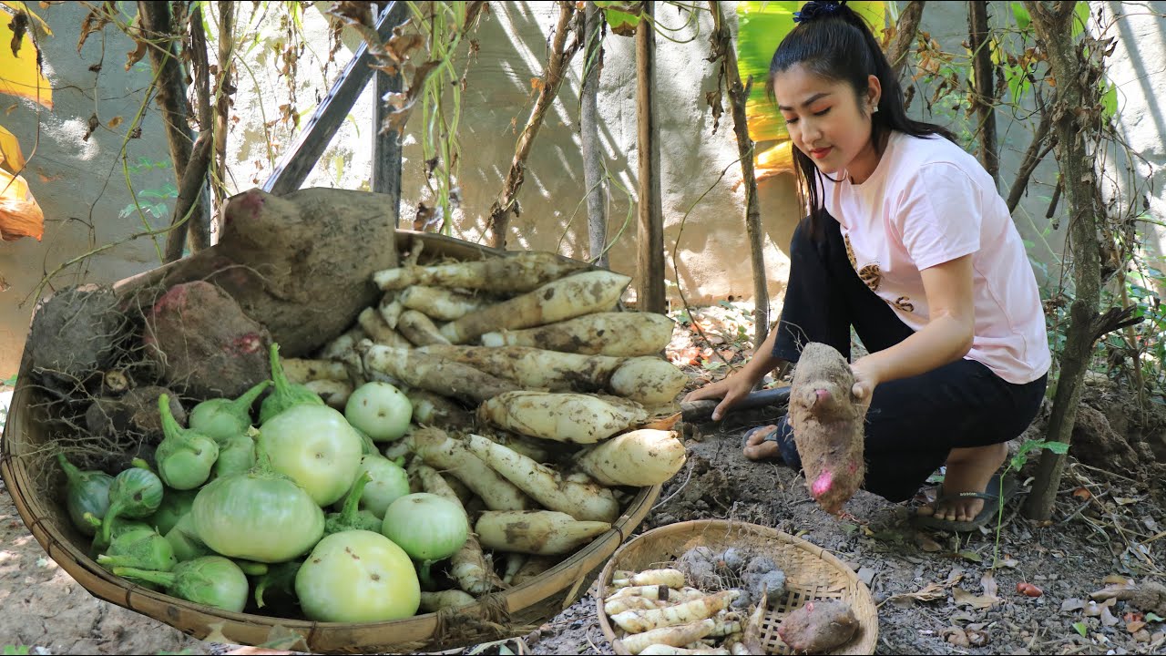 White arrowroot, yam, eggplant cooking / Free fresh vegetable around house / Cooking with Sreypov