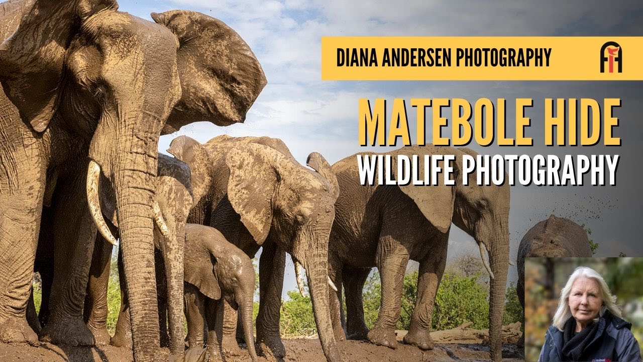 Matebole Hide, Mashatu Game Reserve