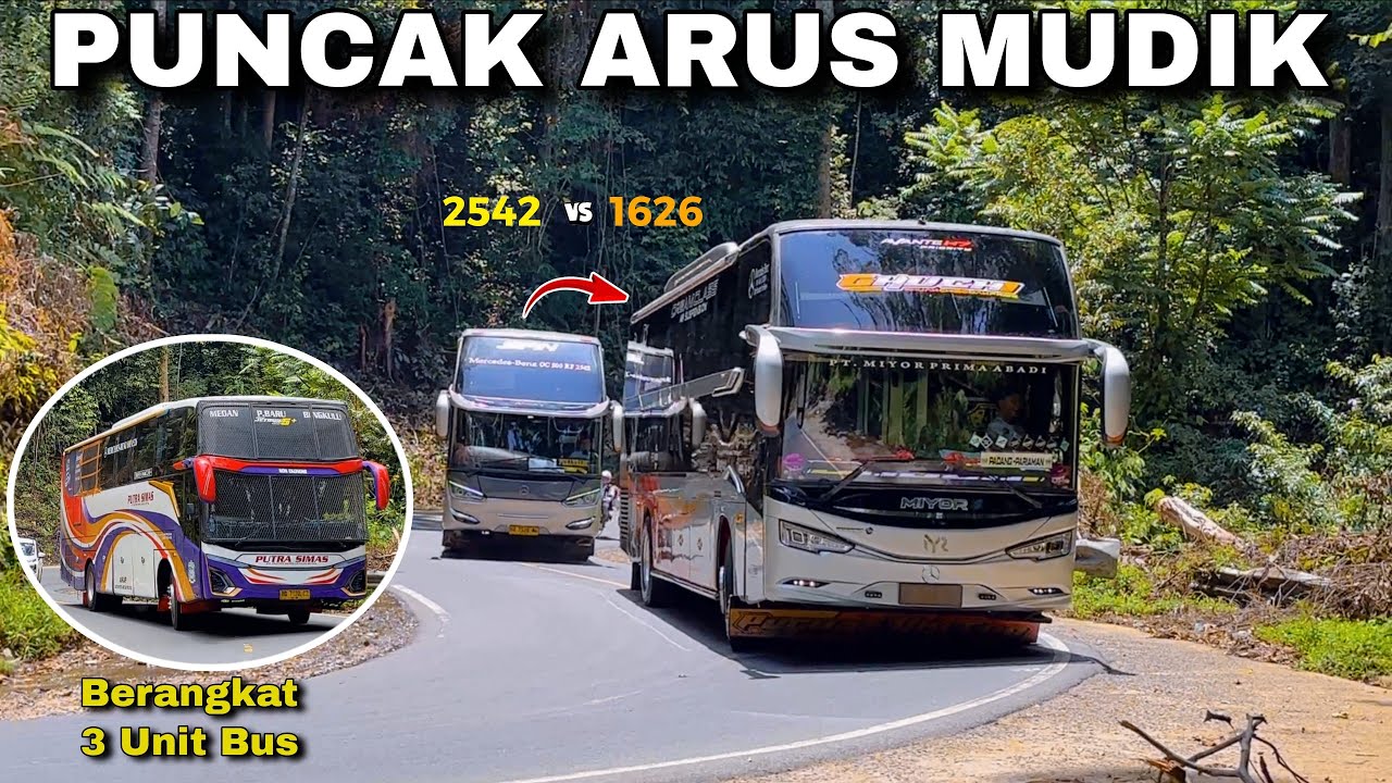 PUTRA SIMAS JALAN 3 UNIT‼️LAGI DAN LAGI SAN 2542 TEMPEL MIYOR