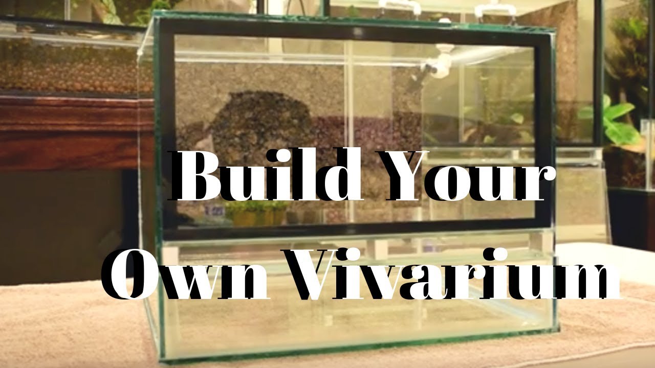 How to Build a Front Opening Vivarium out of an Old Tank
