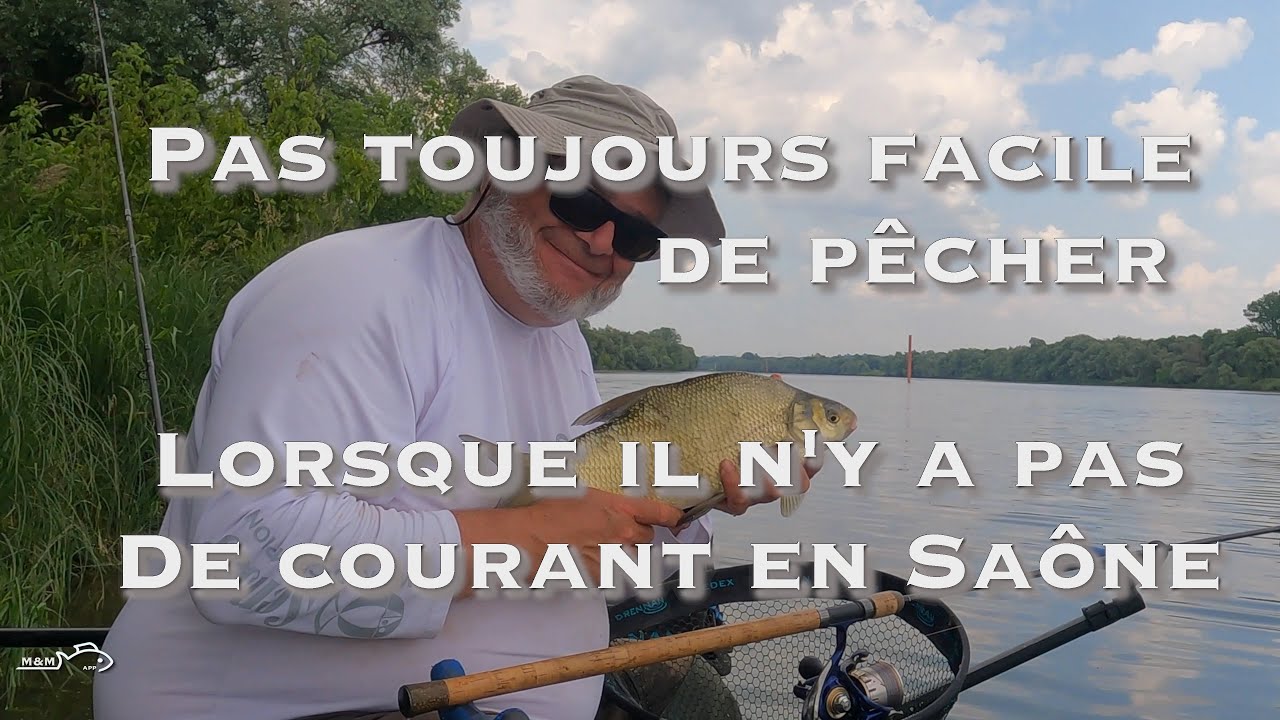 Pêche au FEEDER en Saône sans courant, les  BREMES ABLETTES et GARDOns sont au rendez vous