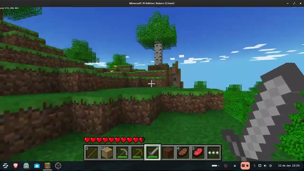 Gameplay Minecraft rasbery PI no Linux