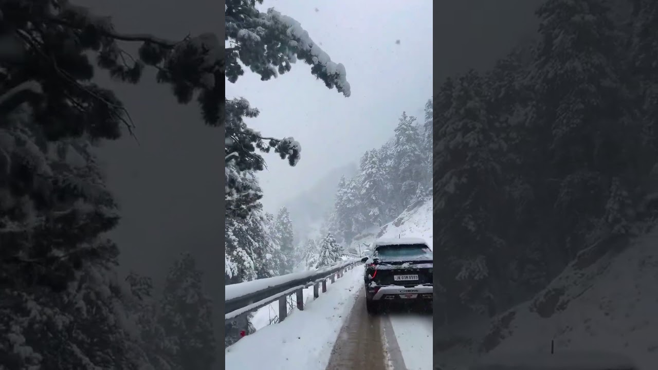 Gulmarg Kashmir    