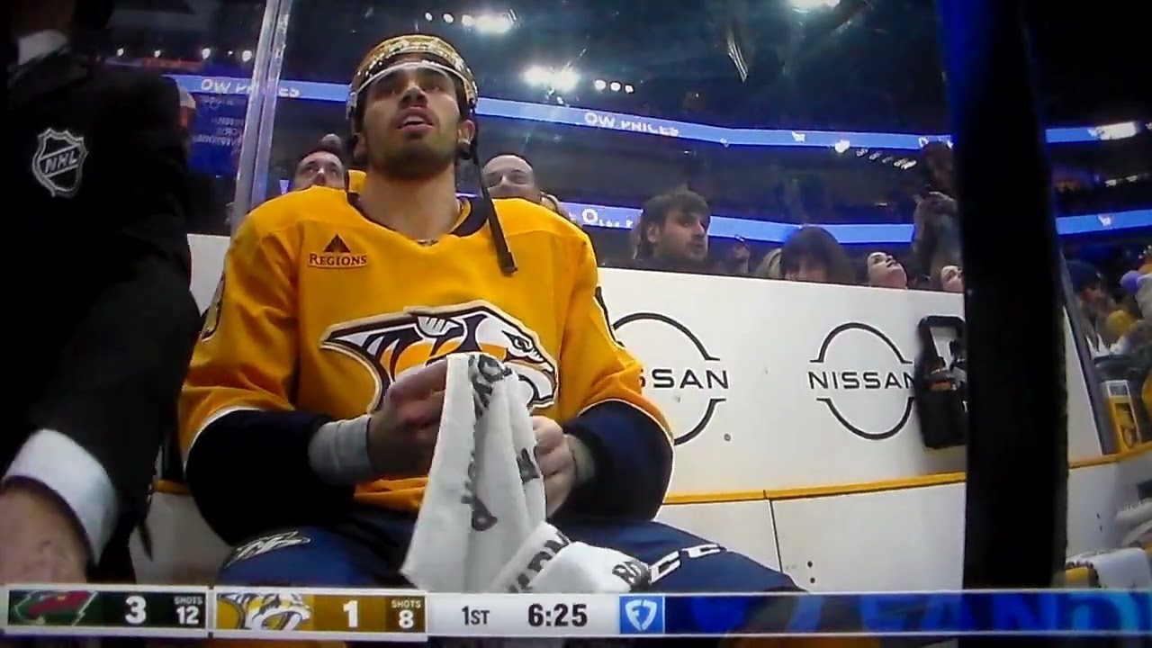 NHL Hockey fight - Adam Wilsby(Predators)vs. Vinnie Hinostroza(Wild)