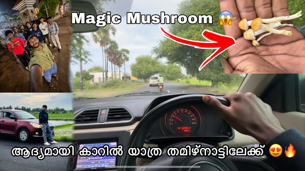 ആദ്യമായി കാറിൽ യാത്ര തമിഴ്നാട്ടിലേക്ക് 😍🔥 || Magic Mushroom കിട്ടി 😱