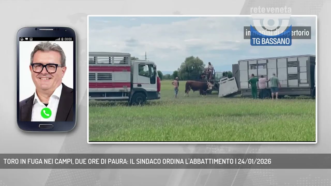 TORO IN FUGA NEI CAMPI, DUE ORE DI PAURA: IL SINDACO ORDINA L'ABBATTIMENTO | 24/01/2026