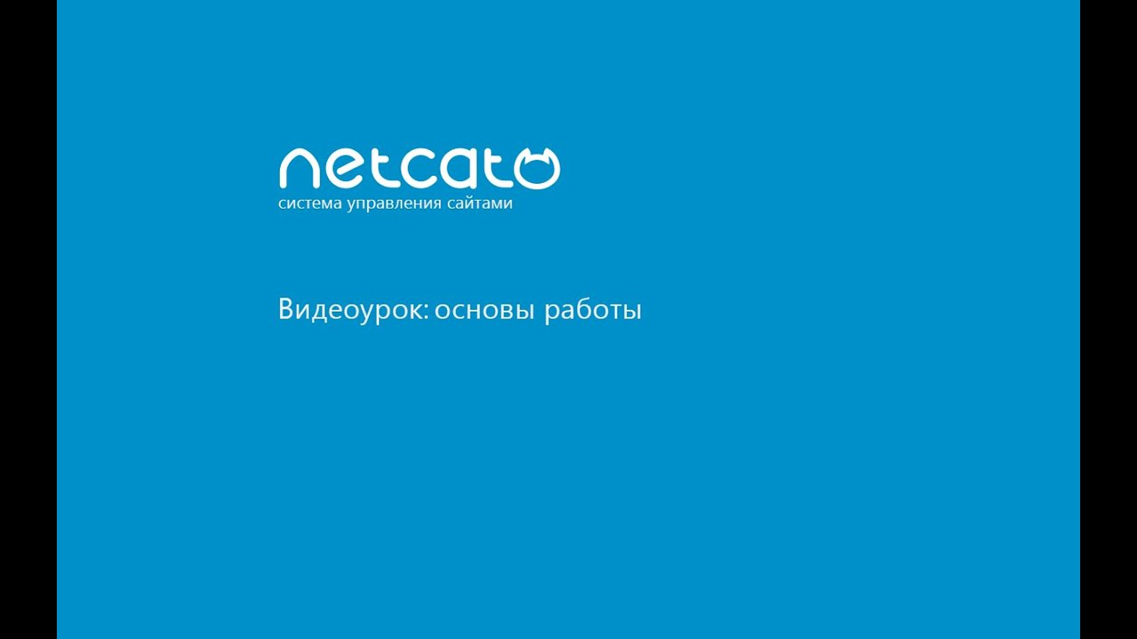 Видеоурок: основы работы с CMS NetCat