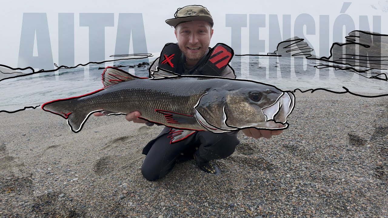 SEA BASS FISHING WITH LIGHT SPINNING IN VERY SHALLOW DEPTH || SUFFERING GUARANTEED