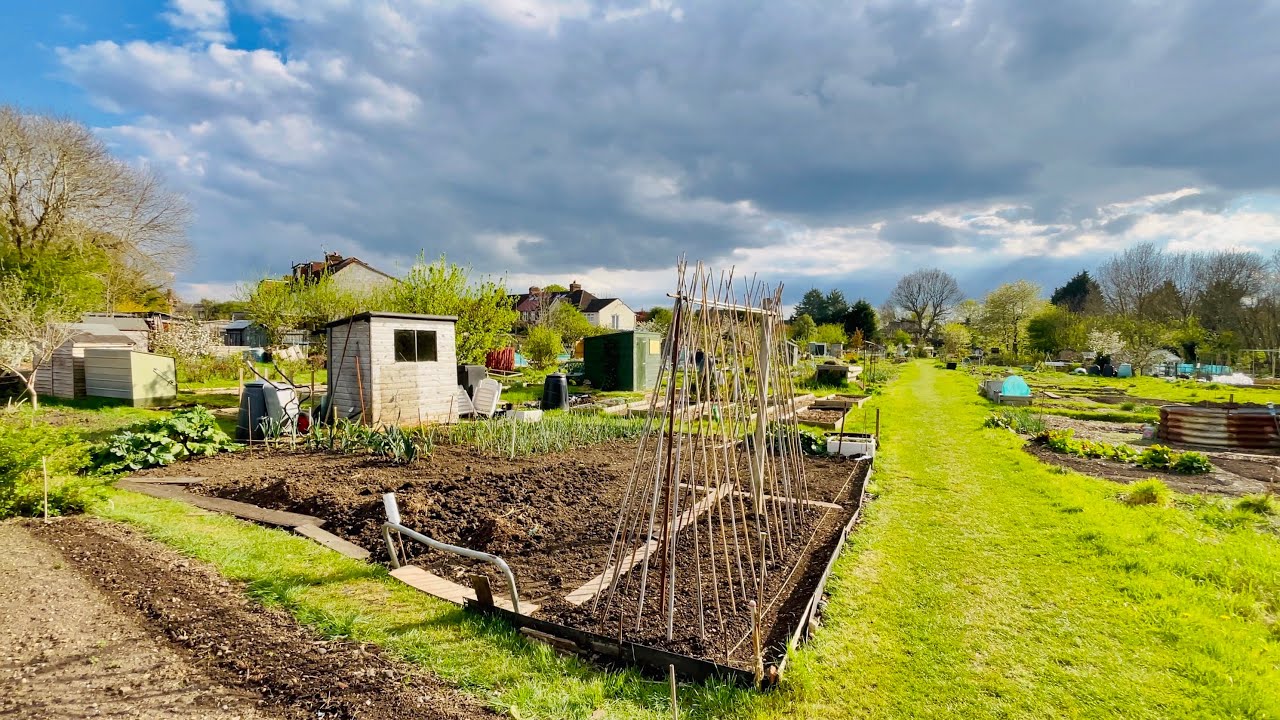 Barry's Allotment THE FIRST PLOT TOUR of season 2022