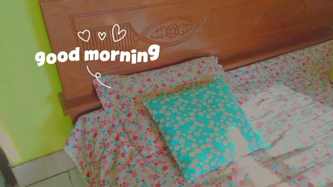  Daily Vlog