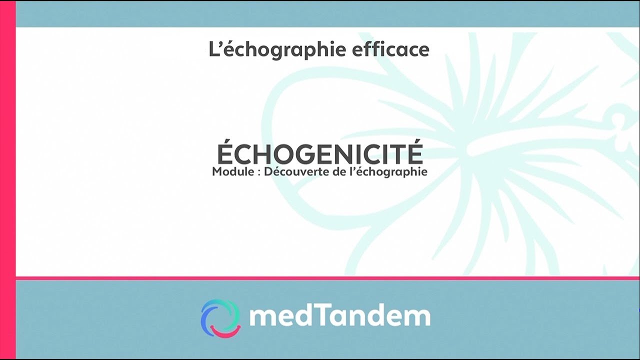 Echogenicit&eacute; | D&eacute;couverte de l'&eacute;chographie en m&eacute;decine g&eacute;n&eacute;rale
