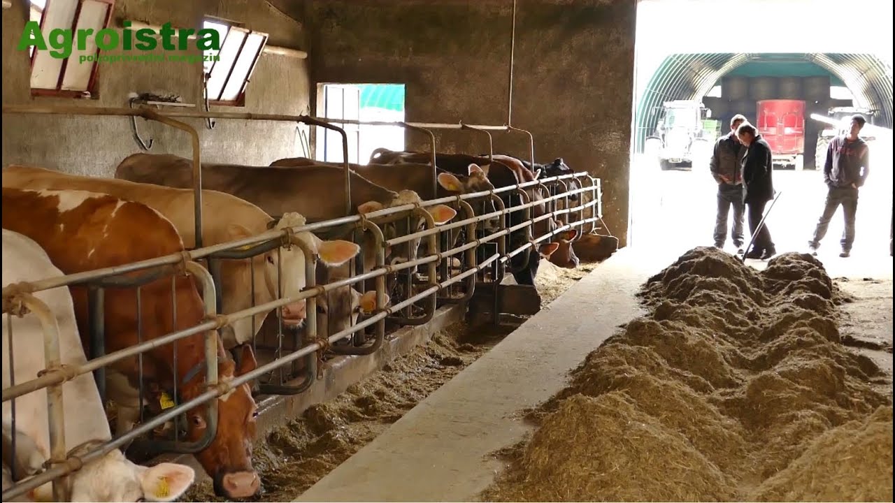 AGROISTRA Mliječna kriza