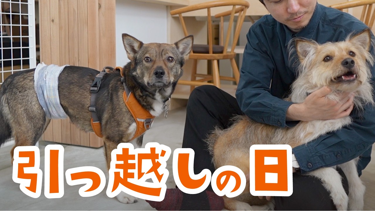 やったーーーー！！ついに新築一軒家に引っ越しです！