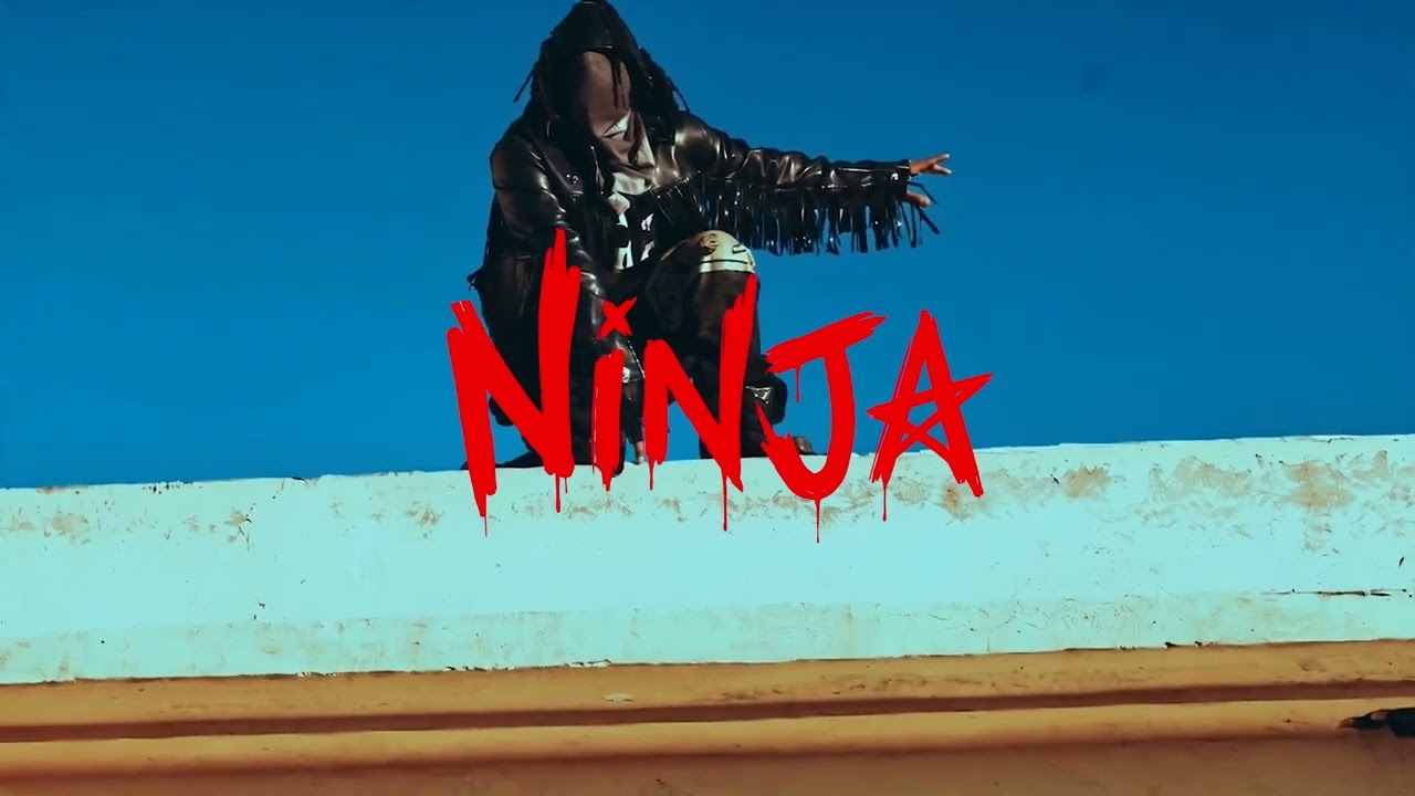 NINJA feat. @GIMS  (Visualizer)