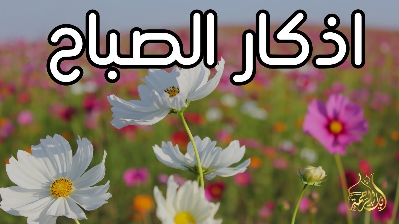 أذكار الصباح راحة نفسية لا توصف بصوت القارئ علاء عقل  Morning Athkar Dzkir Pagi by Alaa Aql