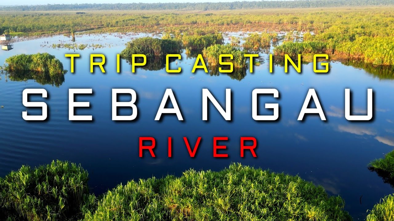 Casting ikan Kerandang ‼ Sangat Mudah Mendapatkan Strike Saat Air Danau Surut